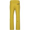 HEAD Men’s Performance Summit Pant – Insulated Ski Pant, Waterproof, 4-Way Stretch, Internal Snow Cuff(Red)