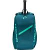 HEAD Tour Tennis Backpack 25L – Holds 2 Racquets, Shoe Compartment, Phone Pocket, Water Bottle & Ball Can Pockets(Green)
