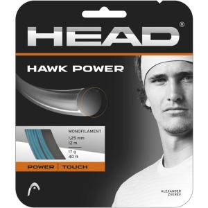 HEAD Hawk Power Tennis Racket String 40′ Set – Monofilament, Explosive Power, Long-Lasting Tension, Made in USA(Petrol)